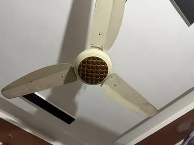 Pak Ceiling Fan Ac Dc 0371/8027692