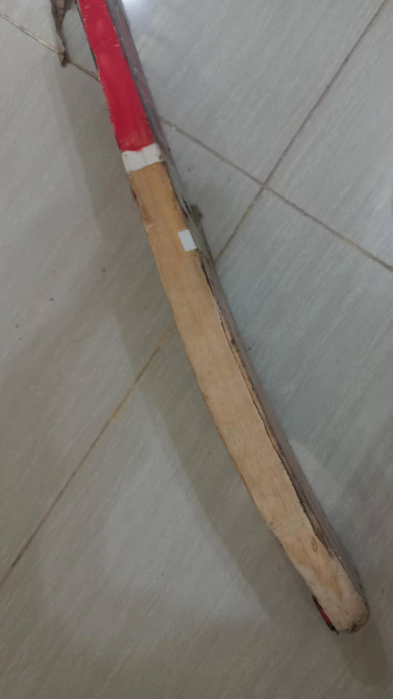 Bat & Spring Wicket set 3