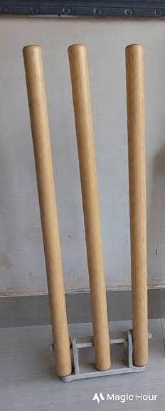 Bat & Spring Wicket set 5