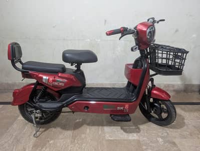 YJ-Future Indus Model 03 Electric Bike