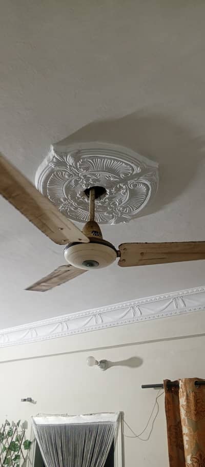 Ceiling Fan Pak Fan