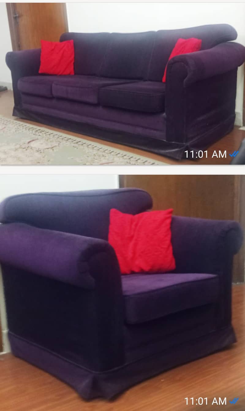immaculate condition 2