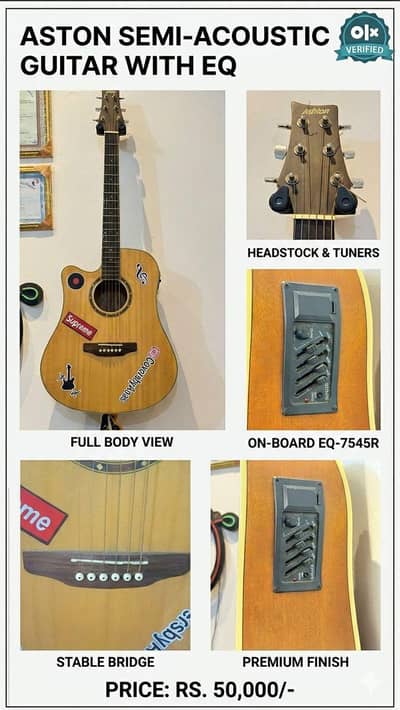 Ashton acoustic guitar