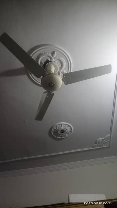 ceiling fans 04