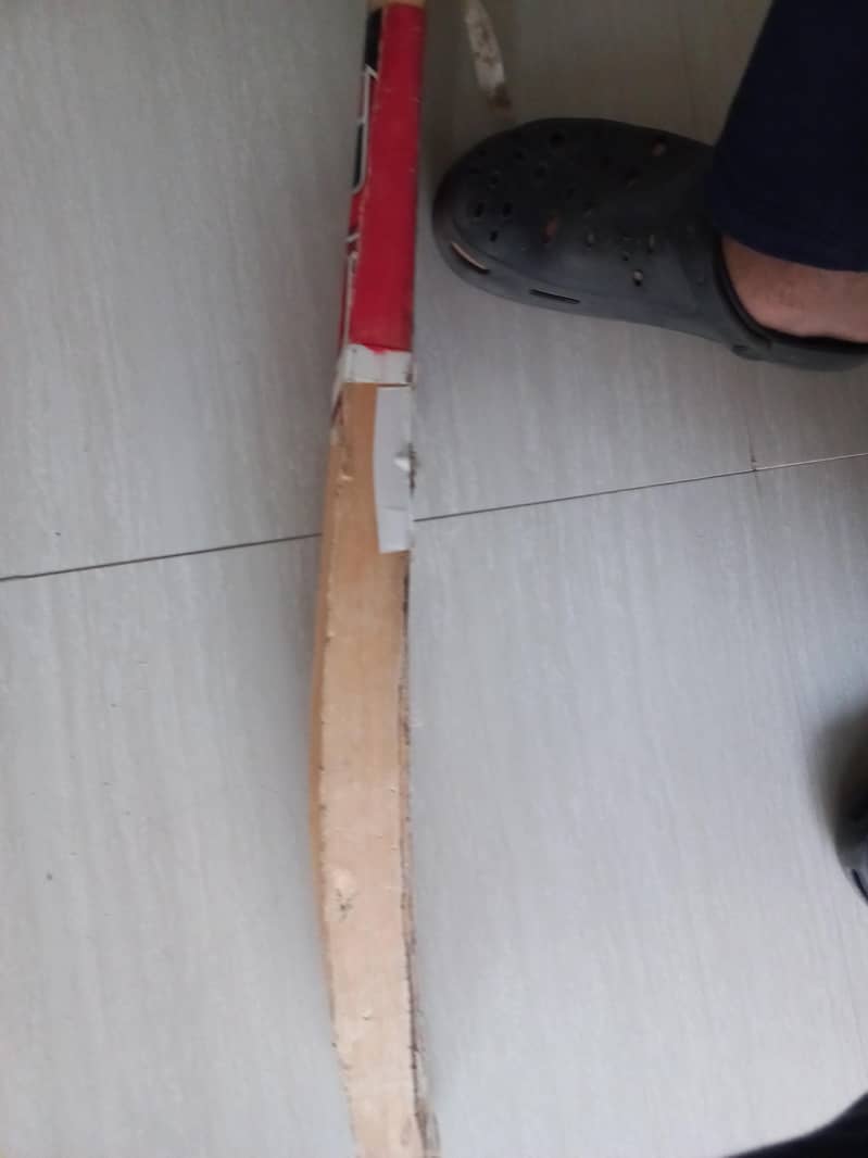 Bat & Spring Wicket set 6