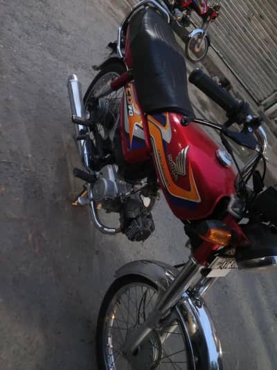 CD 70t