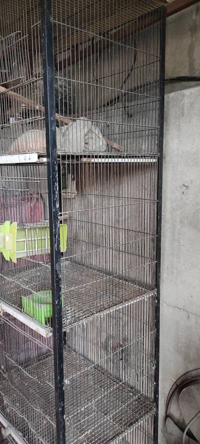 parrot cage