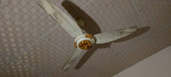 4 pes selling fan for sal