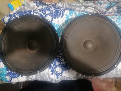 12inch speaker