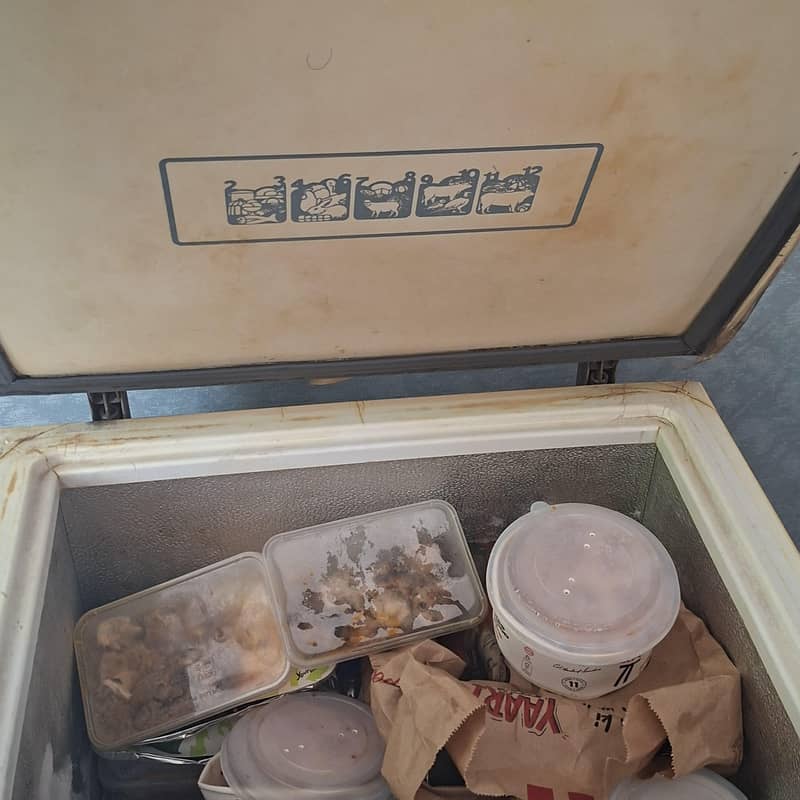 Mini Freezer 3