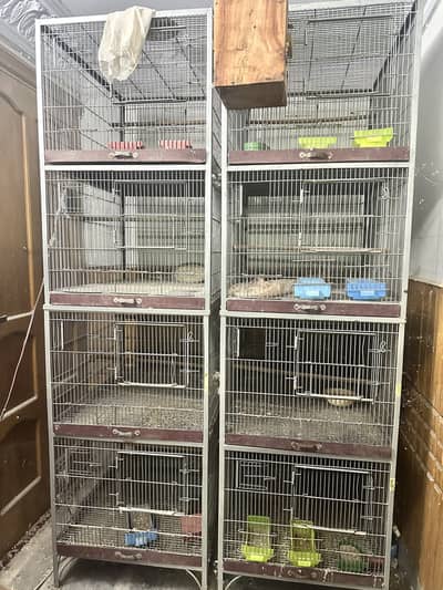 Cage for sale