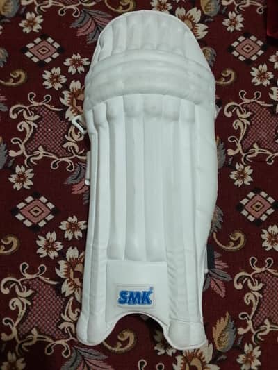 Hard Ball Cricket Full Kit