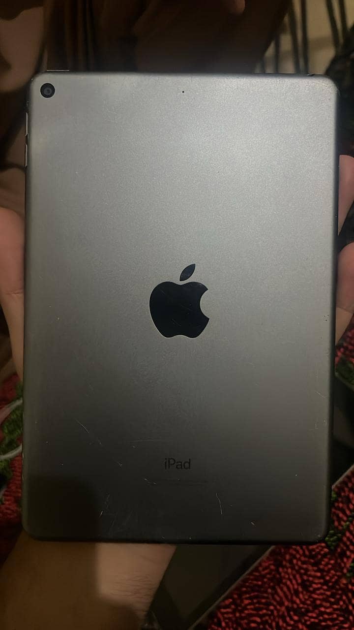 iPad mini 5 0