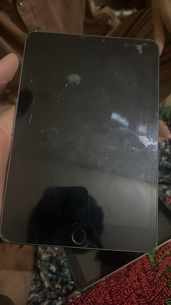 iPad mini 5 1