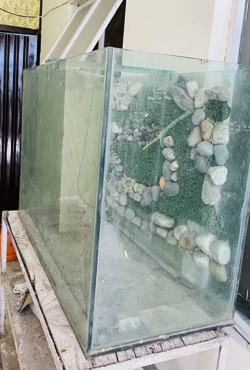 fish aquarium — photo 2