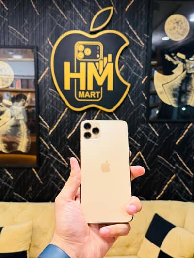 iPhone 11 Pro Max 64GB 80 Genuine Health Gen1 Waterpack Phone