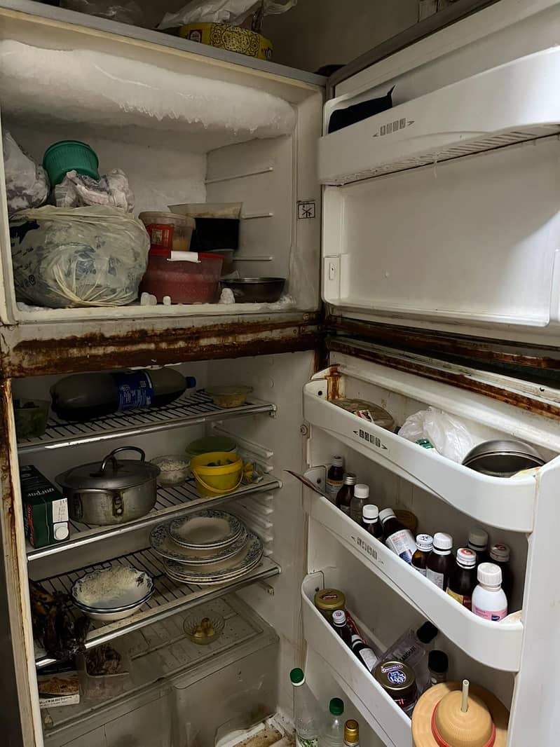 fridge 1