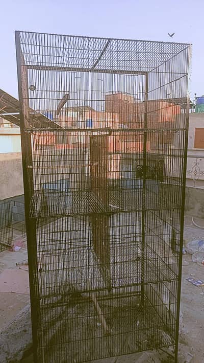 Birds cages for sale look like new