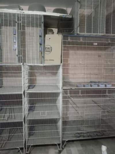 birds cage for sale
