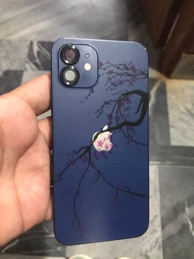 Apple iPhone 12