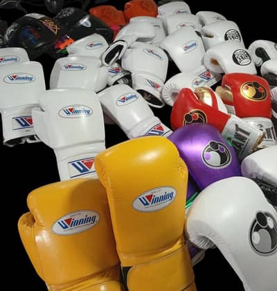 Fighting Boxing Gloves