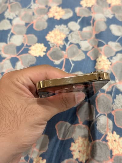 Apple iPhone 13 Pro Max factory unlocked
