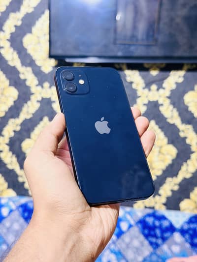Apple iPhone 12