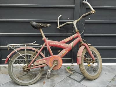 Bicycle Kid