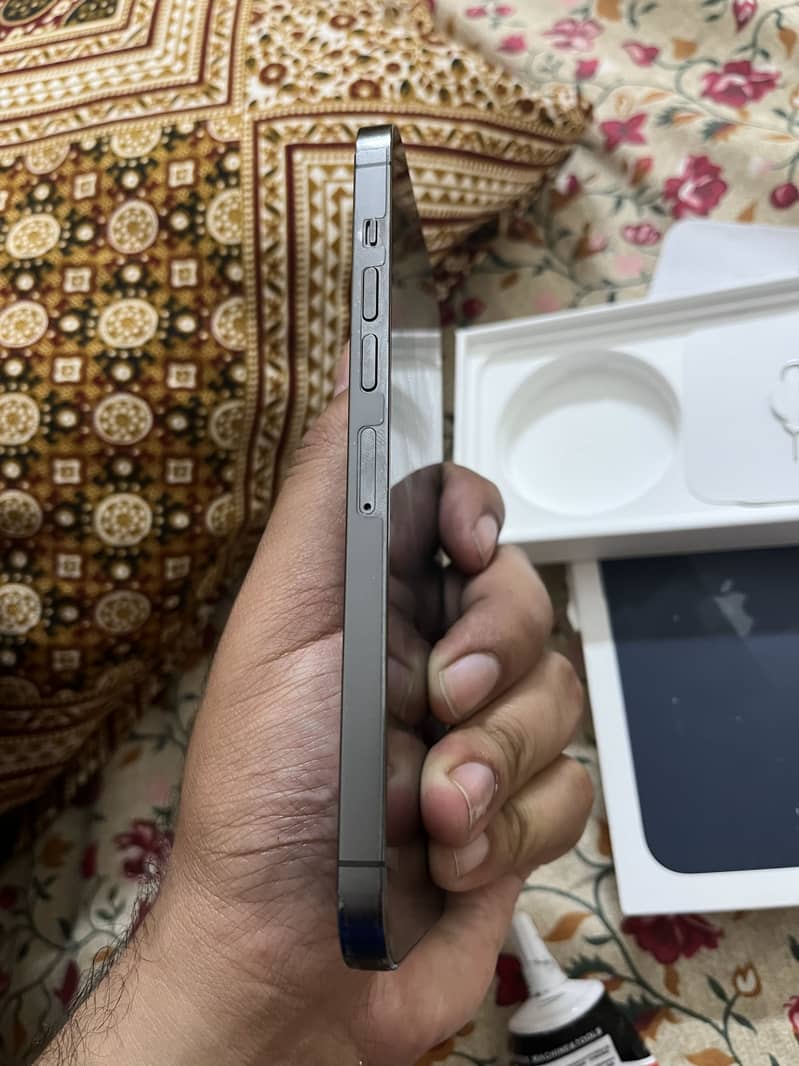 Apple iPhone 13 Pro Max 6