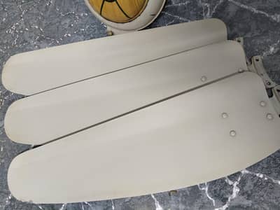 Royal Fans - 99.9% Copper - Good Condition