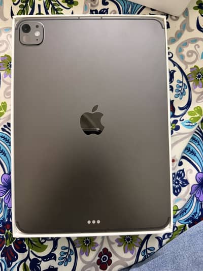 iPad Pro M5 11 inch 256 GB (Wifi+Cellular)