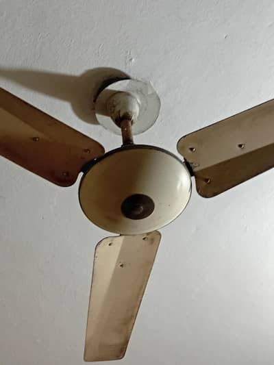 Ceiling Fans (Chath Wala Pankha