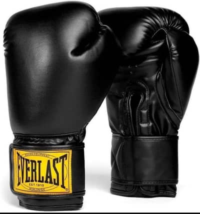 Everlast 1910 Boxing Gloves | Advanced Gloves for Men and Women
