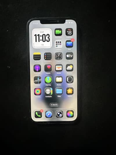 Apple iPhone 12