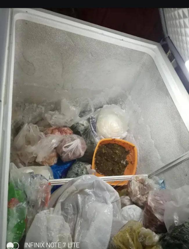 waves 2 door freezer 3