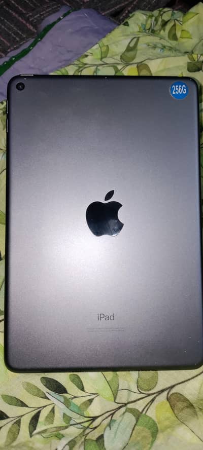 iPad Mini 5 — 256GB — Smooth Extreme (60 FPS) Gaming