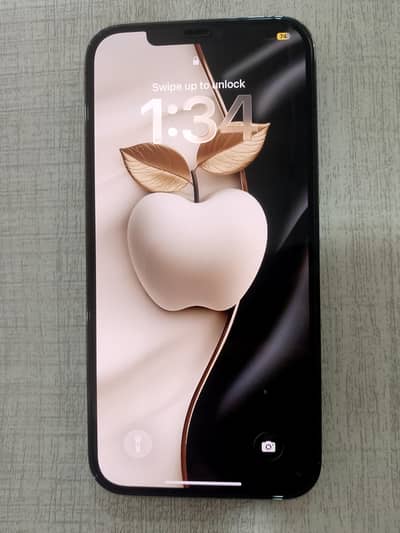 Apple iPhone 12 Pro Max