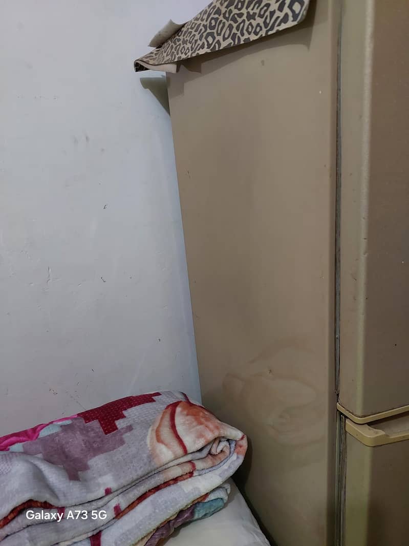 pel refrigrator 2