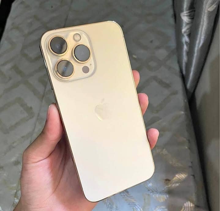 iPhone 13 Pro 0