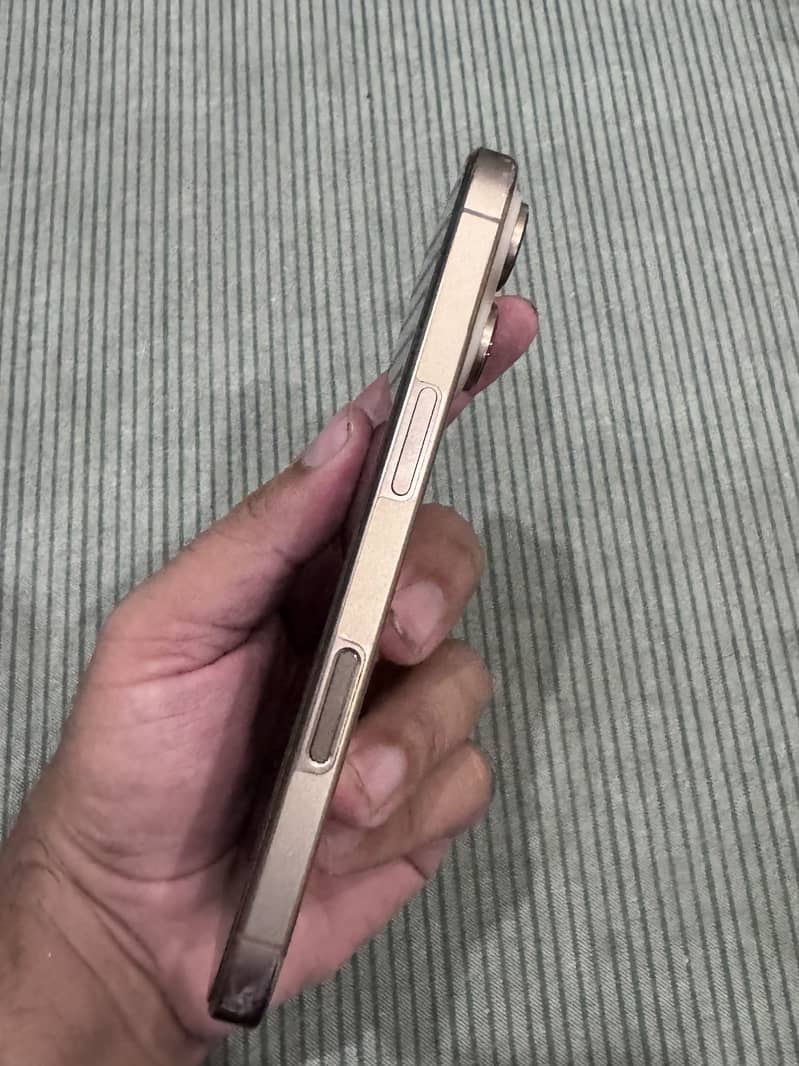 Apple iPhone 16 Pro 1