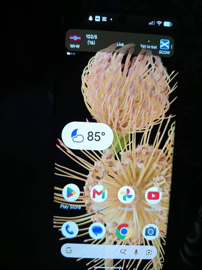 Google Pixel 6 Pro 2
