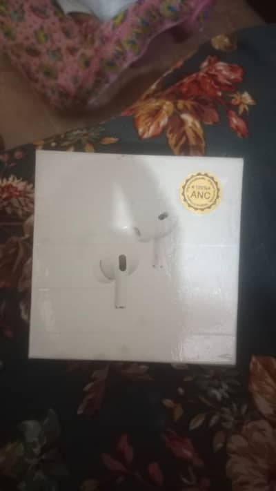 Earphones