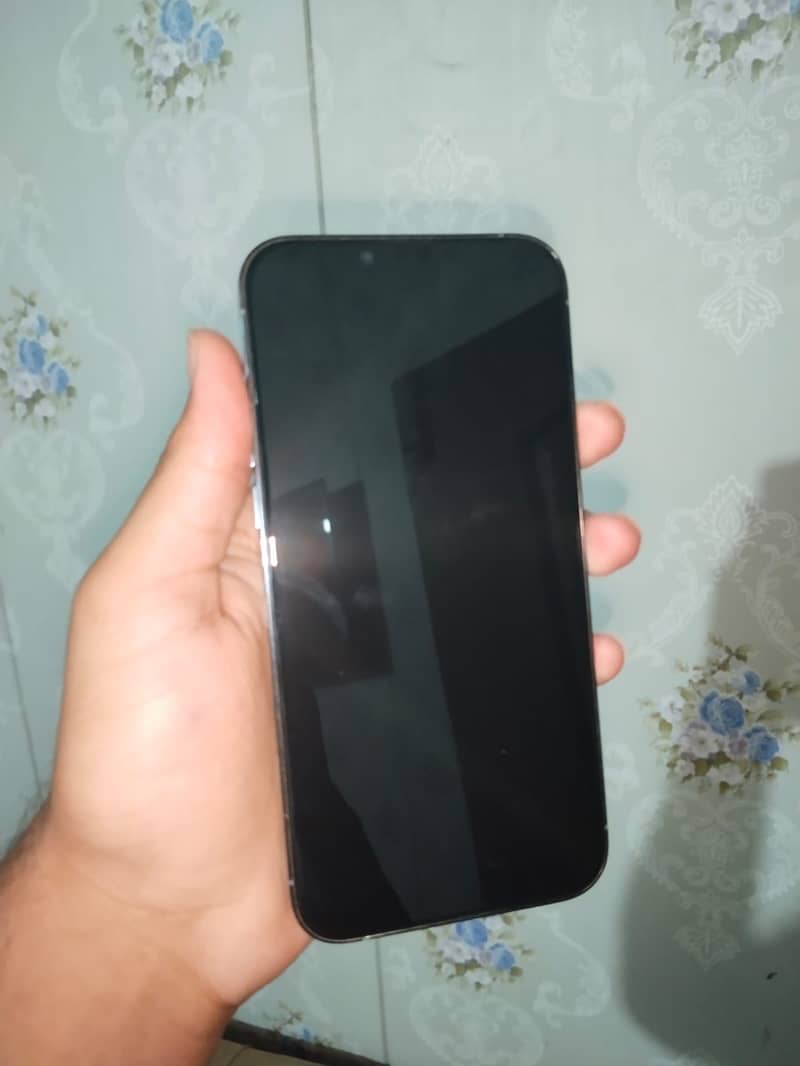 Apple iPhone 13 Pro Max 3