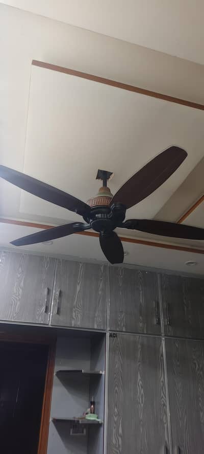 Royel fans 5 blade 100% copper