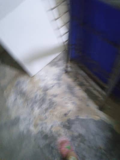 wooden wall boxes, iron shelf