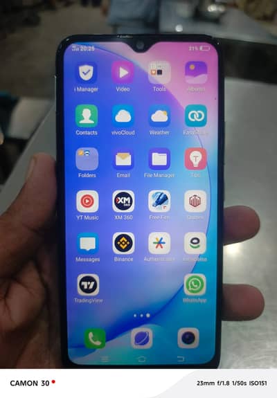 Vivo Y17