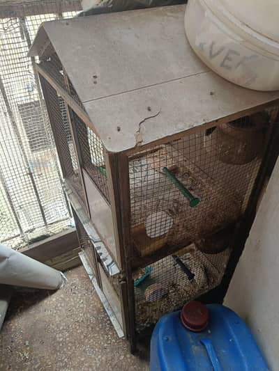 2 portion cage available for sale with buggies pair