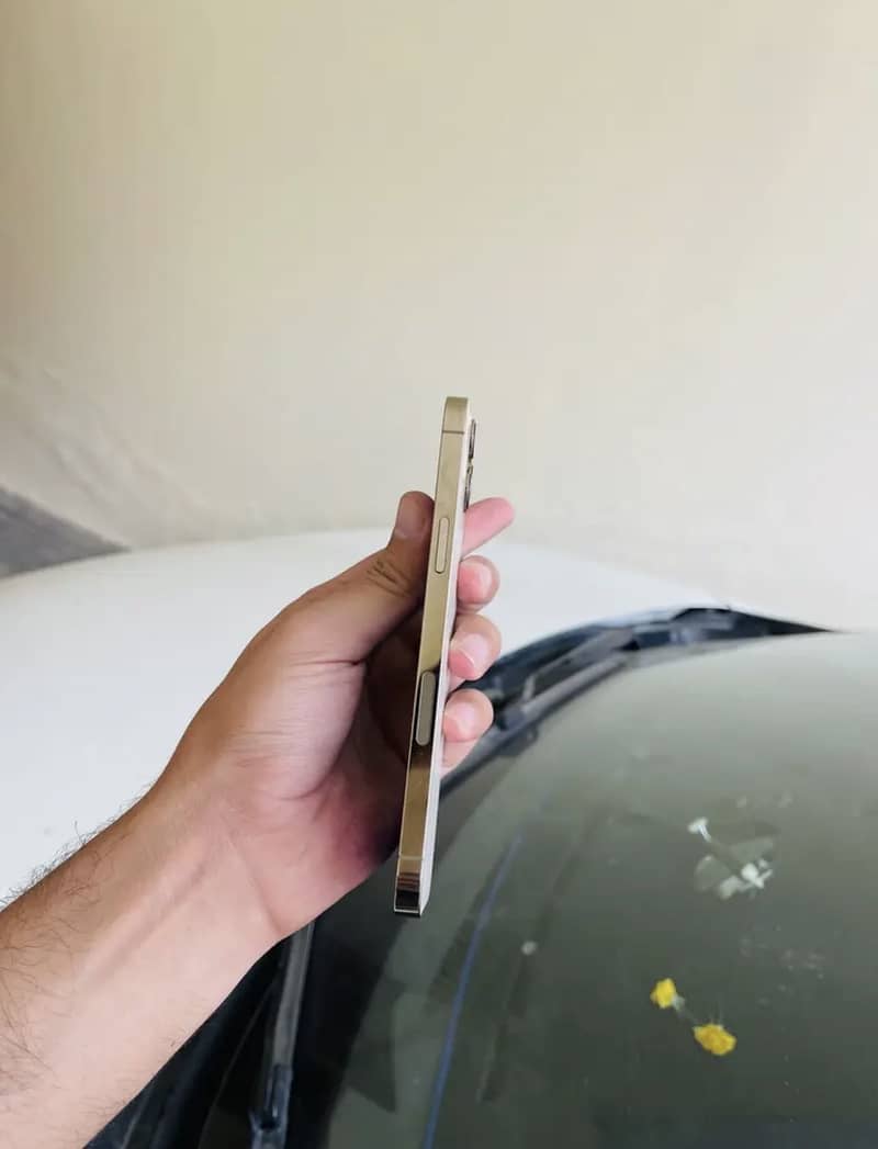 Iphone 12 pro max 0