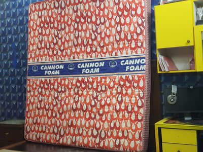 Canon Foam(Medicated Ortho) King Size bed Discount Available