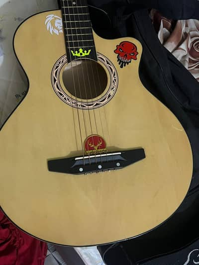 guitar With rod and beg